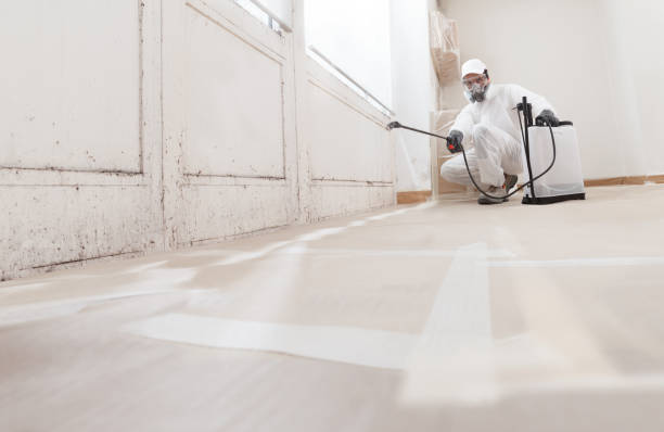 24/7 Emergency Commercial Mold Remediation experts in Wingate, NC